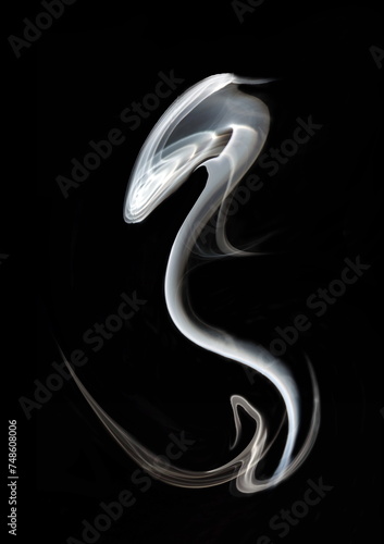 Fototapeta Naklejka Na Ścianę i Meble -   the snake,   emulation,  art abstract photo of fuzzy shapes of smoke on a black background.