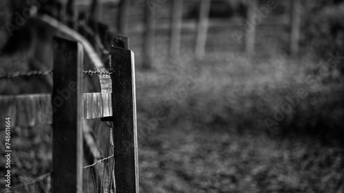 In monochrome hues, a fragment of a wooden fence is captured, embodying the rustic charm and enduring simplicity of rural landscapes, where each weathered plank tells a story of time and tradition