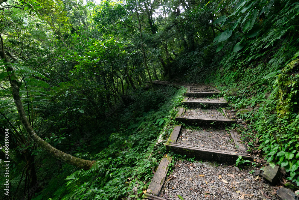 Trail surrounding by woods and grass, way to the deep mountain, in Manyueyuan National Forest Recreation Area, Sanxia, New Taipei City, Taiwan. Trail surrounding by woods and grass, way to the deep mountain, in Manyueyuan National Forest Recreation Area, Sanxia, New Taipei City, Taiwan.