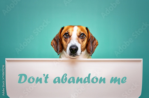 A beagle dog peeks over a sign reading Do not abandon me.