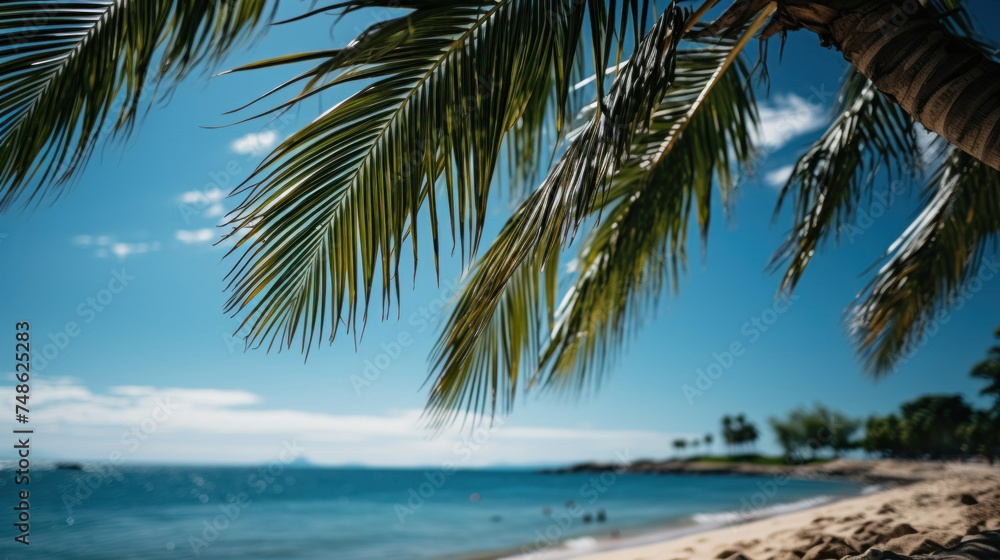 A palm tree on tropical beach with blue sky and white clouds background, Summer vacation and Travel concept.