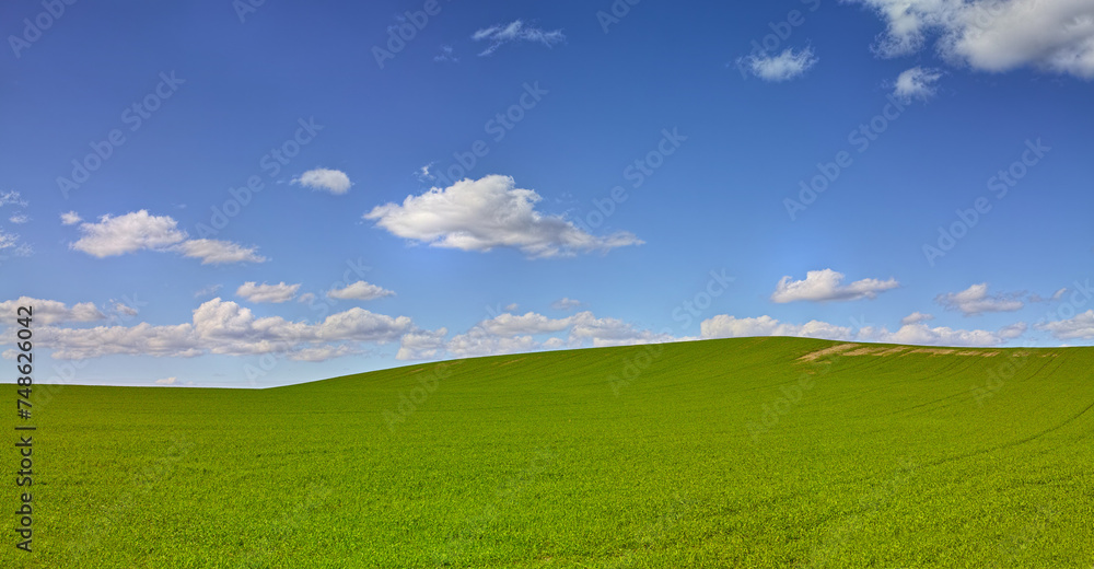 Horizon, clouds and blue sky at countryside with space, sustainability and nature in summer. Environment, beauty and field with grass for eco friendly, growth and landscape of earth with lawn