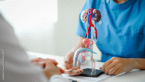 Tableau sur toile Meeting appointment, Prostate cancer, sexual dysfunction, In a clinic room, female doctor conducts a medicine appointment at the desk with a male patient, addressing health