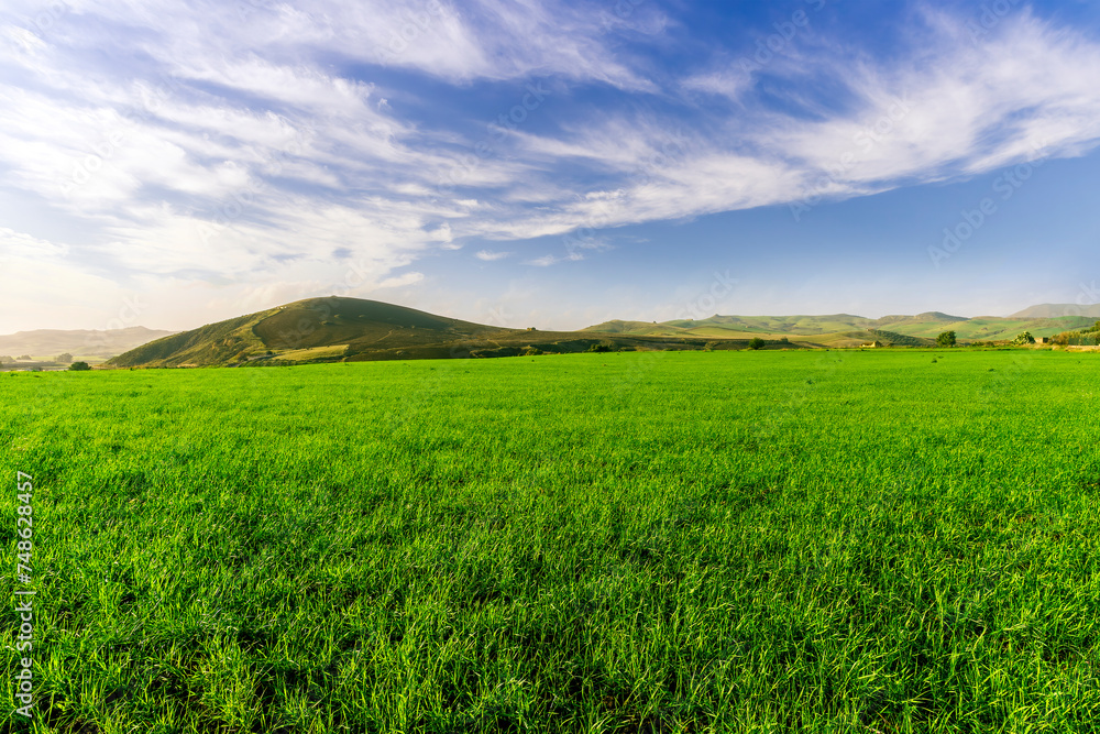 Fototapeta premium green landscape of spring field with green young grass and amazing hills on background