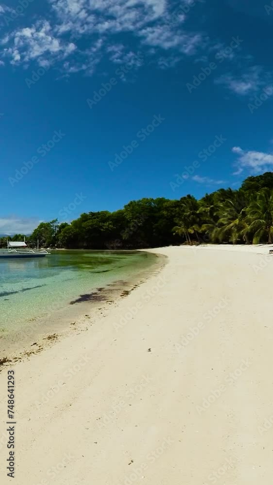 Coconut trees in beach with white sand and clear water. Cobrador Island. Romblon, Philippines. Vertical view. Coconut trees in beach with white sand and clear water. Cobrador Island. Romblon, Philippines. Vertical view.