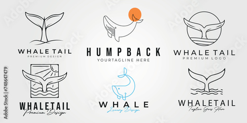 set of whale logo line art vector illustration design 