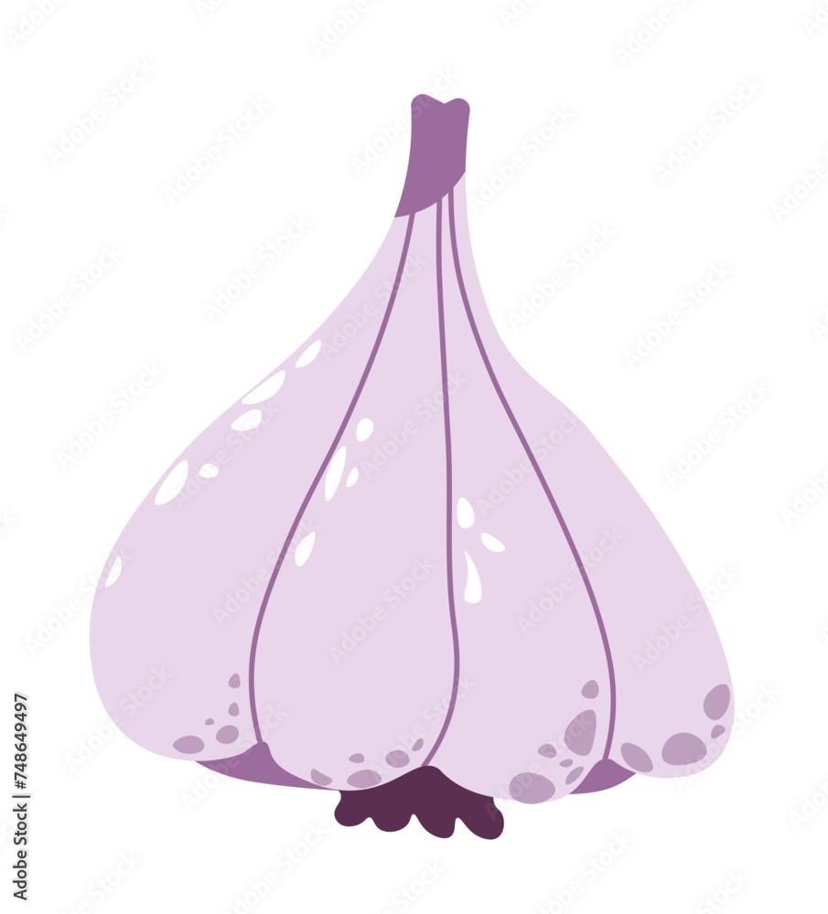 Organic garlic from farms, seasoning for food Organic garlic from farms, seasoning for food
