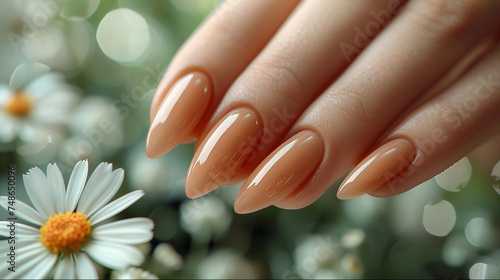 Delicate hand with long nails near white chamomile. Manicure salon business banner concept.
