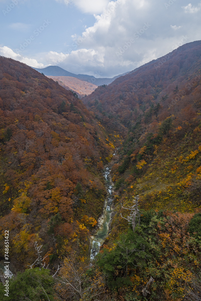 日本　青森県青森市の十和田八幡平国立公園内にある城ヶ倉大橋から見える城ヶ倉渓流の紅葉