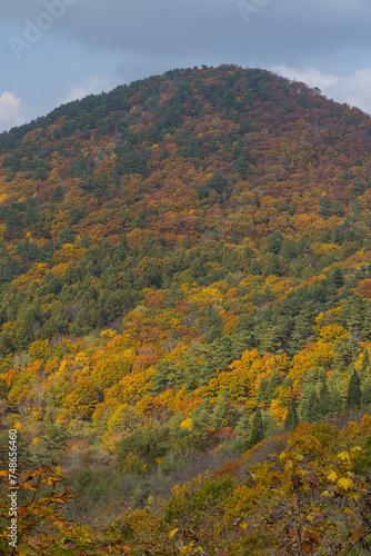 日本 青森県青森市にある岩木山展望所から見える風景と紅葉