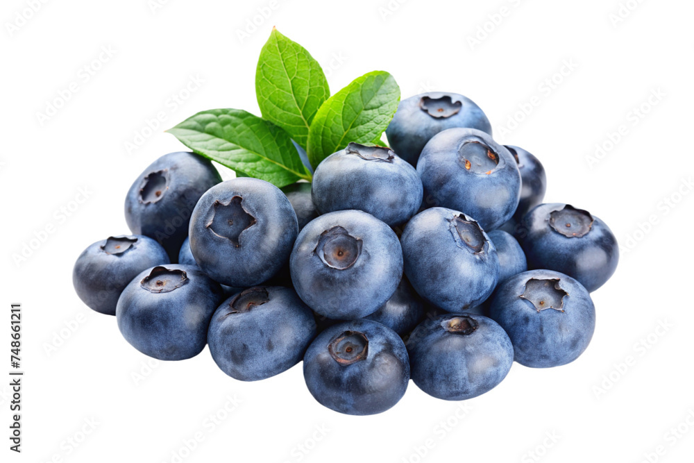 blueberry on a transparent background blueberry on a transparent background