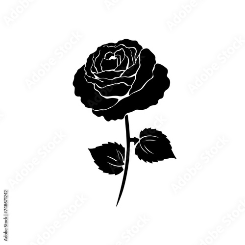 Black Beautiful Rose silhouette side view