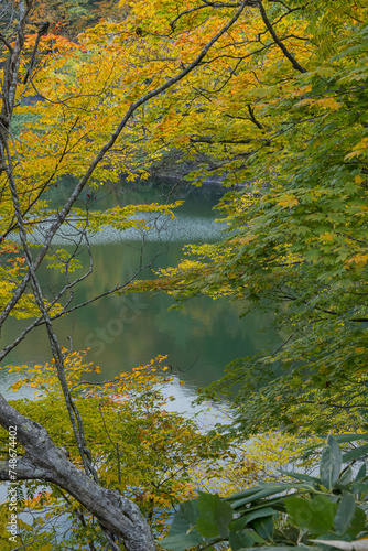 日本　青森県西津軽郡深浦町の白神山地西部に位置する湖沼群、十二湖の王池と紅葉