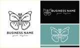 vector line butterfly logo template