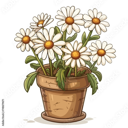 Spring daisy flowers in pots. Vector illustration 