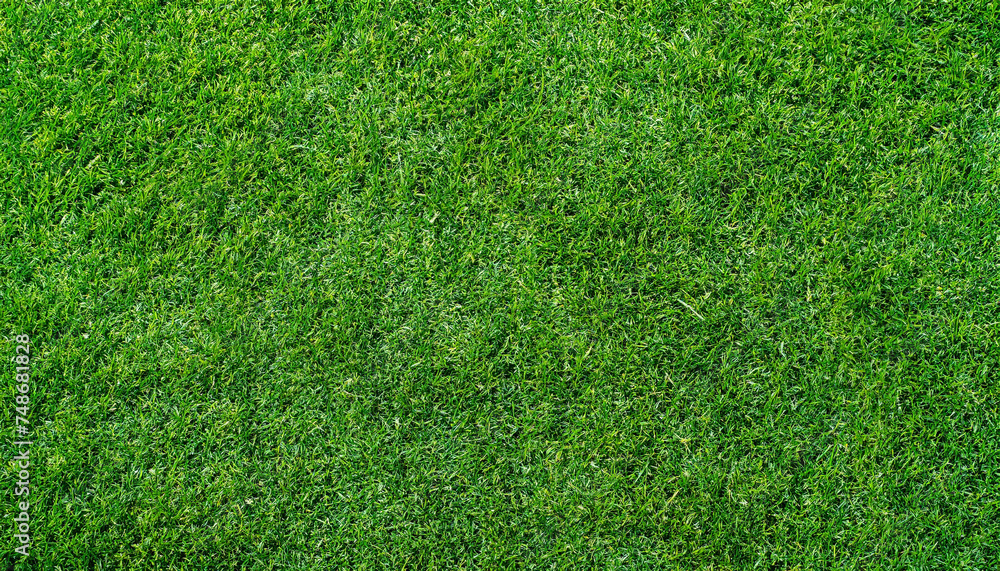 Obraz premium Green grass texture. Stadium grass. Green grass texture background Top view