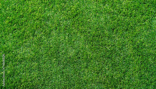 Green grass texture. Stadium grass. Green grass texture background Top view