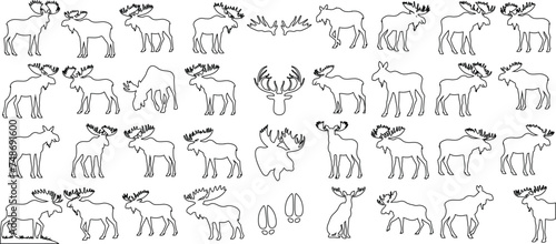Majestic moose outline, moose in diverse poses, perfect for educational, artistic inspirations. Simple, elegant, minimalistic design capturing the natural beauty of this iconic North American mammal.