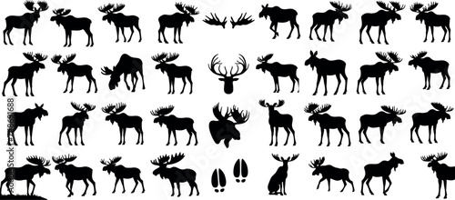 Moose silhouette vector, illustration, wild moose for wildlife design, standing, walking, eating, antlers, male, female, shapes, outline, profile, side, view of moose