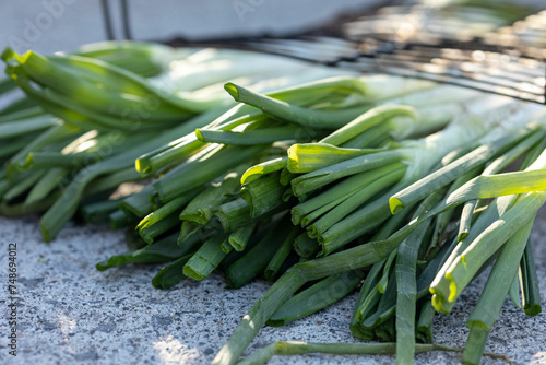 calçots, typical Catalan food, sweet onion, raw onion, prepared for cooking photo