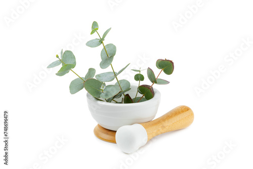Eucalyptus leaves and mortar isolated on white background.Spa concept.Ingredients for alternative medicine and natural cosmetics. A bottle of essential oil and a bunch of eucalyptus. Organic skin care