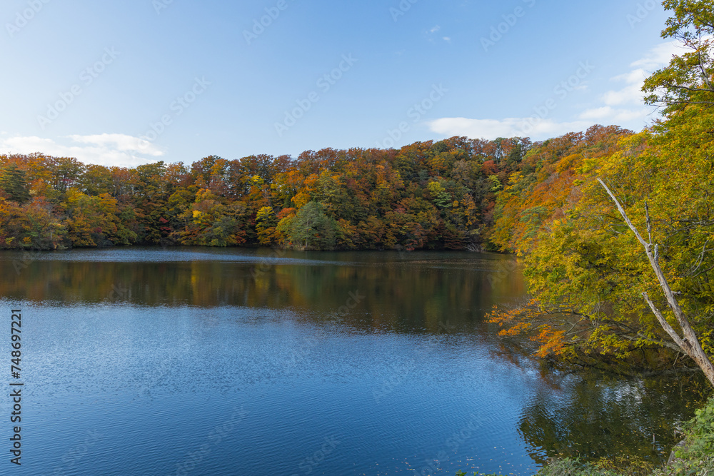 日本　青森県西津軽郡深浦町の白神山地西部に位置する湖沼群、十二湖の王池と紅葉
