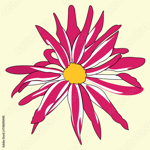 Beautiful flower. A blossoming bud with many petals emanating from the center of the plant. Nice colour. The illustration can be used as decoration.