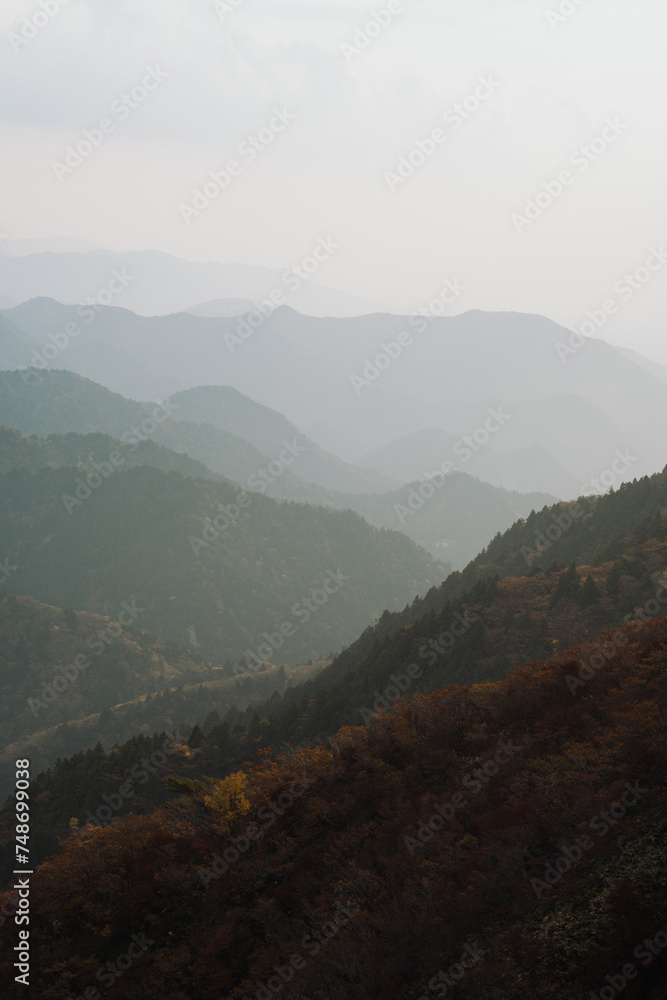 Obraz premium 紅葉の御在所岳