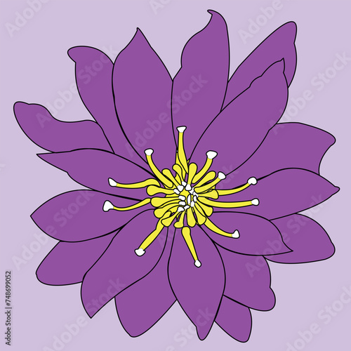 Beautiful flower. A blossoming bud with many petals emanating from the center of the plant. Nice colour. The illustration can be used as decoration.