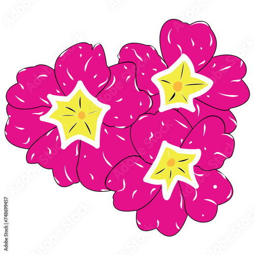 Beautiful flower. A blossoming bud with many petals emanating from the center of the plant. Nice colour. The illustration can be used as decoration.