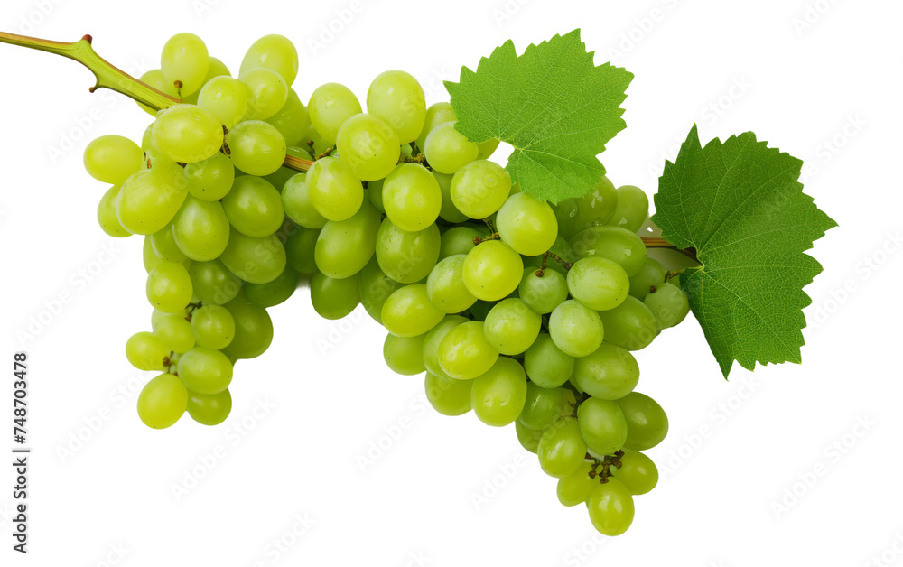 Obraz premium Succulent Green Grapes Close-up on transparent background