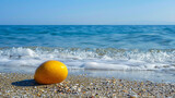 Lone yellow stone on the sea shore.