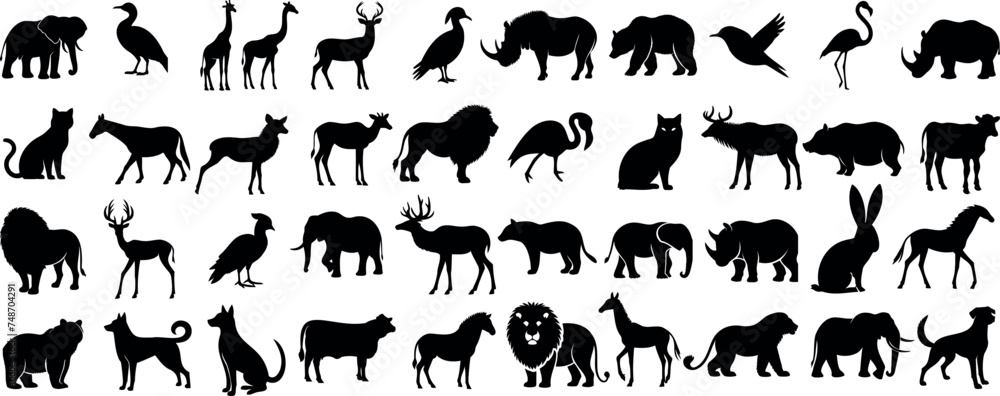 Wildlife silhouette, animal collection,  Includes elephant, deer, lion, cat, dog, bird, horse, bear, giraffe, camel, swan, rhino