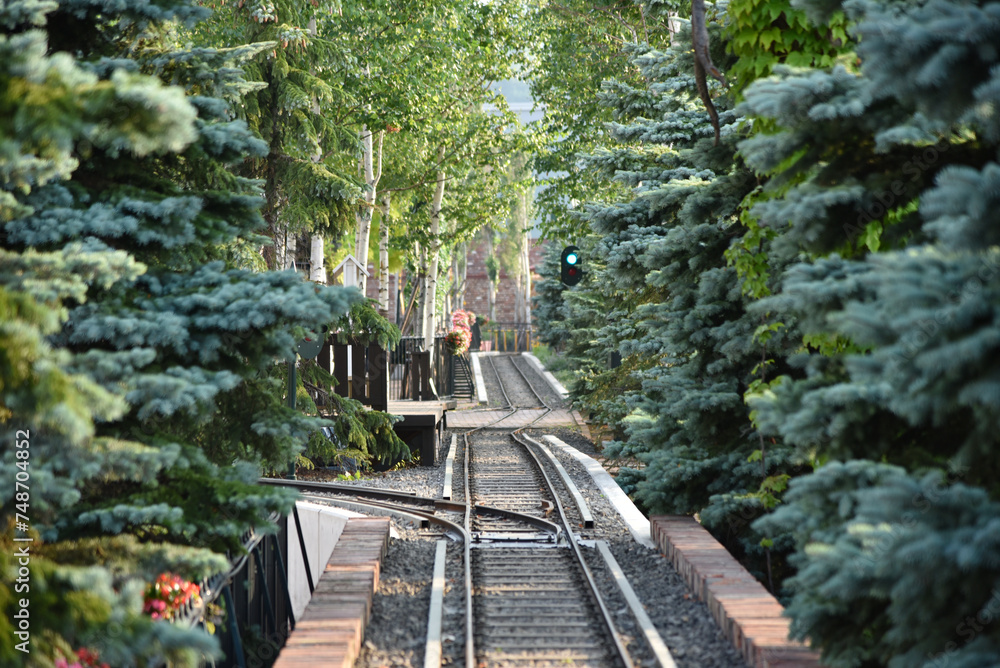 Fototapeta premium railway in the woods