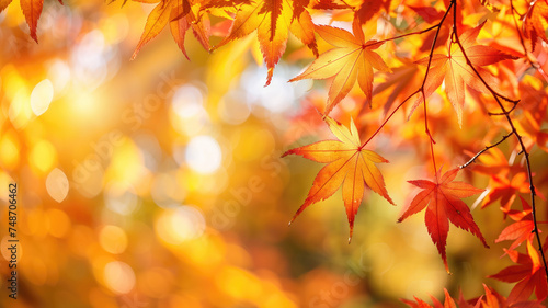 Beautiful yellow red and orange leaves in an autumn park Generative AI