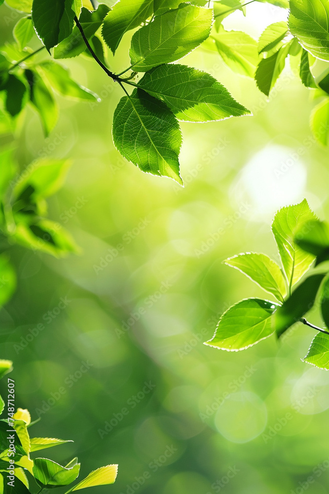 Light green background, minimal green background Light green background, minimal green background