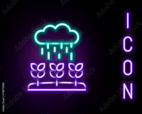 Glowing neon line Plant sprouts grow in the rain icon isolated on black background. Seedling concept. Colorful outline concept. Vector