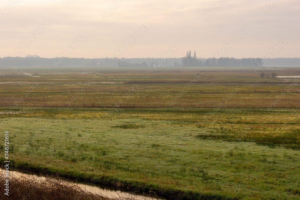 Winter countryside landscape, Typical Dutch polder with green meadow under cloudy sky and cold day, Flat and low land with small canal or ditch and the grass field, North Brabant province, Netherlands