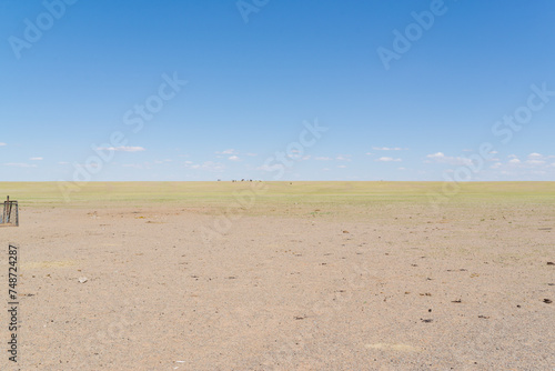 Mongolian plain