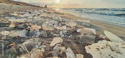 Foto ice crystals on the beach