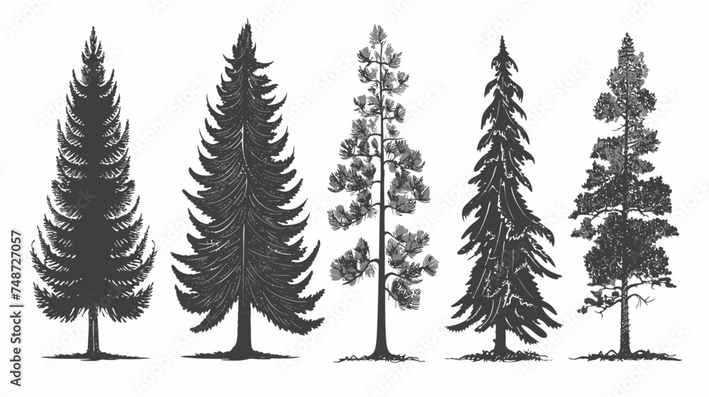 The dark outline of a forest's deciduous and coniferous fir trees vector silhouettes isolated in side view with a thick outline set  