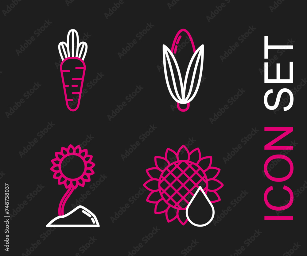 Set line Sunflower, Corn and Carrot icon. Vector Set line Sunflower, Corn and Carrot icon. Vector