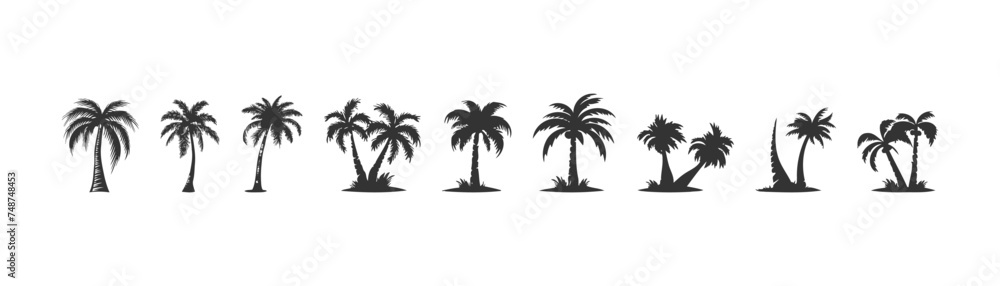 Tropical palm tree silhouette icon set. Vector illustration design.