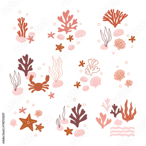Beautiful pre made compositions set. Natural undersea flora and fauna, sea or ocean life. Undersea species with coral, algae or seaweed, starfish, shells. Flat colorful vector illustration