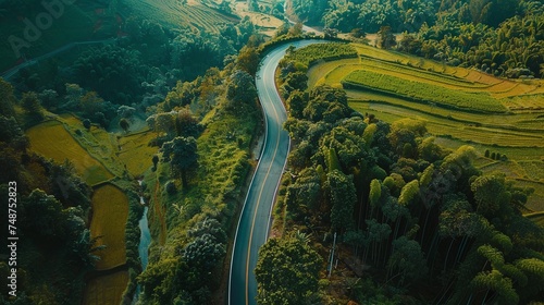 beautiful curve road winding through lush green forest in rainy season, serene nature landscape captured from aerial top view