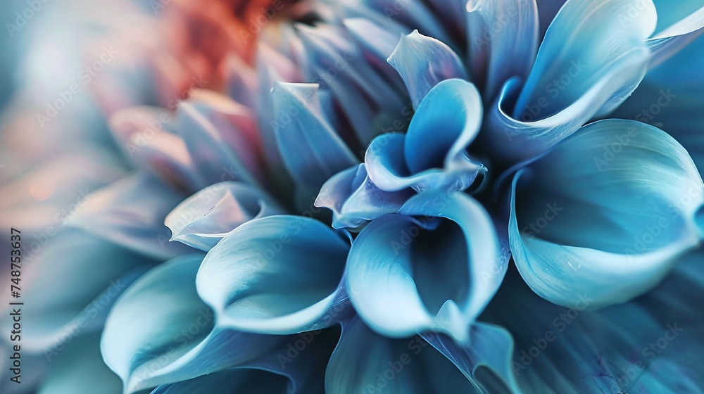beautiful blue flower macro closeup showcasing vibrant petals in natural garden setting