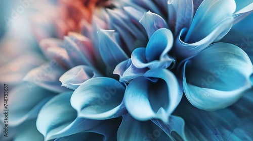 beautiful blue flower macro closeup showcasing vibrant petals in natural garden setting