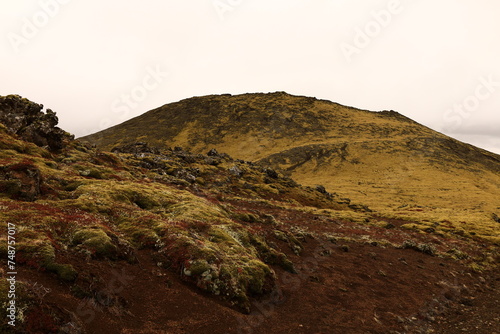 Berserkjahraun is a road on the northern part of the Snaefellsnes peninsula , Iceland photo