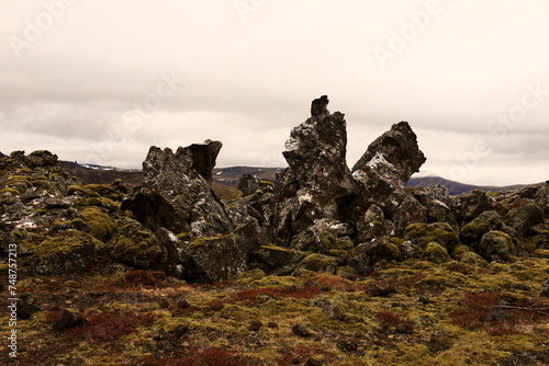 Berserkjahraun is a road on the northern part of the Snaefellsnes peninsula , Iceland photo