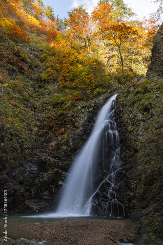 Fototapeta Naklejka Na Ścianę i Meble -  日本　青森県中津軽郡にある世界遺産、白神山地の暗門滝の第3の滝と紅葉